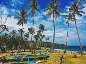 Palm trees on beach