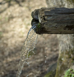 Close-up of water drop falling on wood