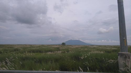 Scenic view of field against cloudy sky