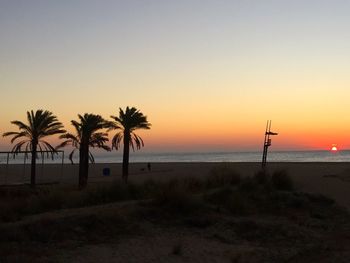 Silhouette of palm trees on beach