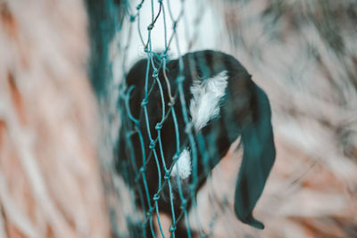 Close-up of rope against wall