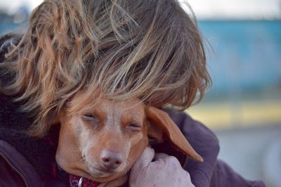 Close-up of dog