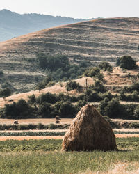 Hills and field with hay bale