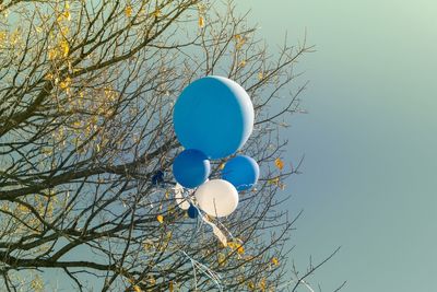 Low angle view of balloons against blue sky