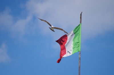 Patriotic seagull flying behind an italian flag