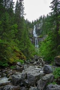 Stream flowing through rocks in forest