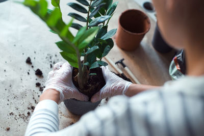 Midsection of woman holding potted plant