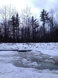 Scenic view of snow covered landscape