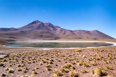 Scenic view of desert against clear blue sky