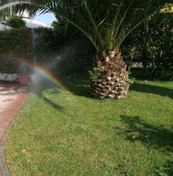 View of car on grass
