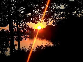 Sunlight streaming through silhouette trees during sunset