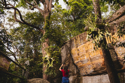 Rear view of woman standing by tree in forest