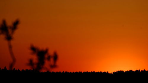 Silhouette trees on field against orange sky