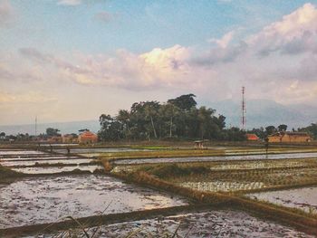 Scenic view of field against cloudy sky