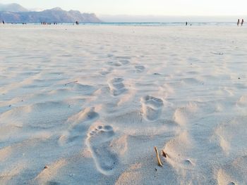 Foot prints in the sand 