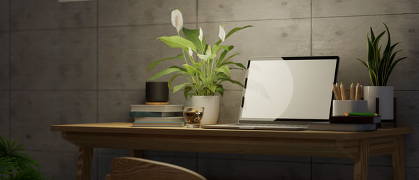 Potted plant on table against wall