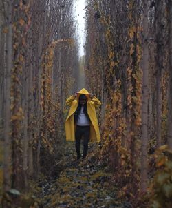 Man walking amidst trees in forest