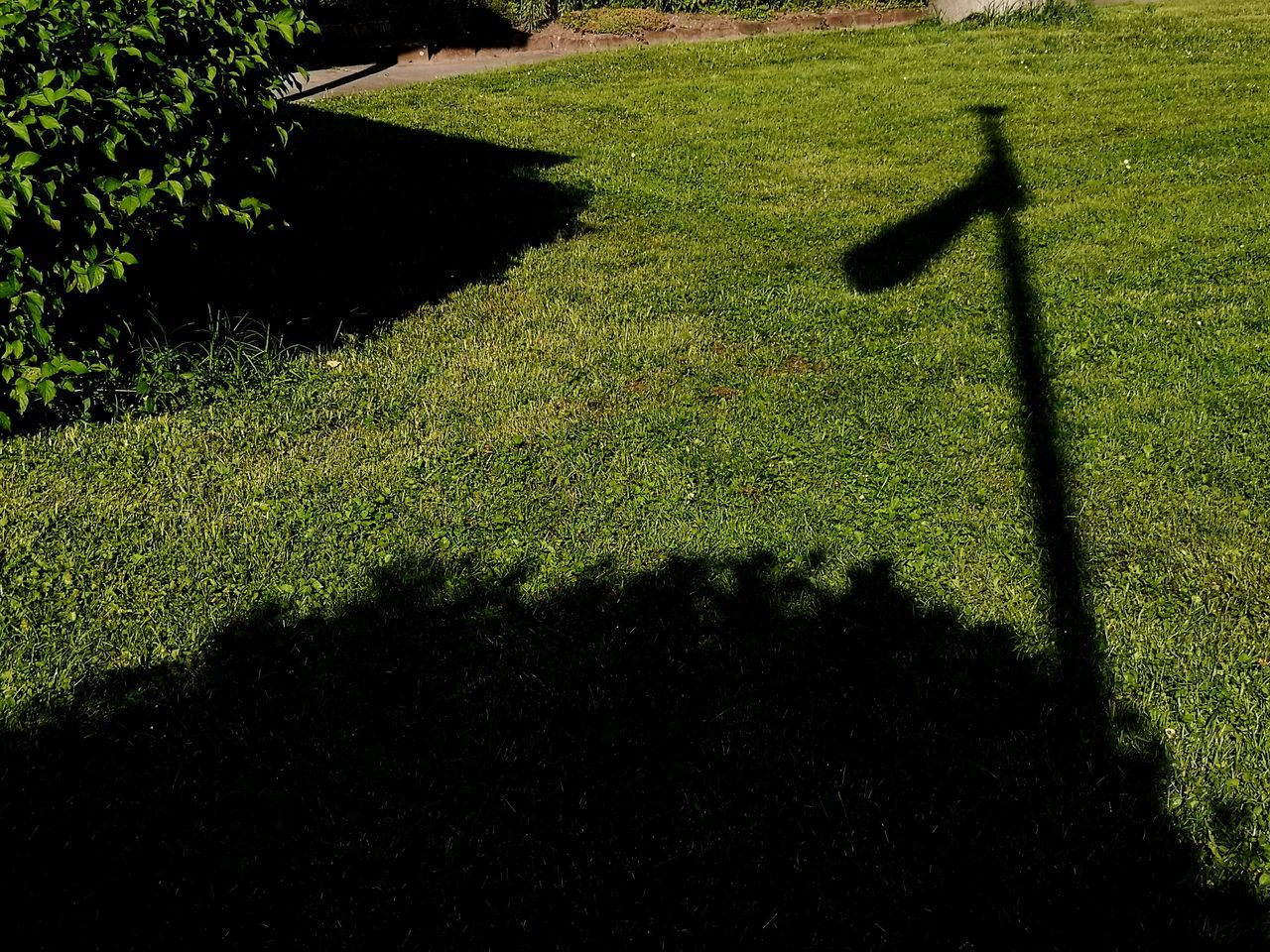 HIGH ANGLE VIEW OF SHADOW ON GRASS