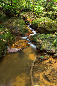 Stream flowing through rocks in forest