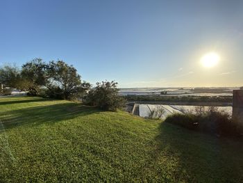 Scenic view of field against clear sky