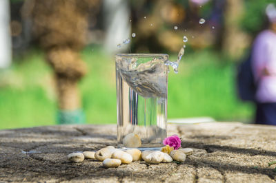 Close-up of pebbles on rock in yard