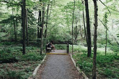 Mid distance view of woman sitting on bench in forest