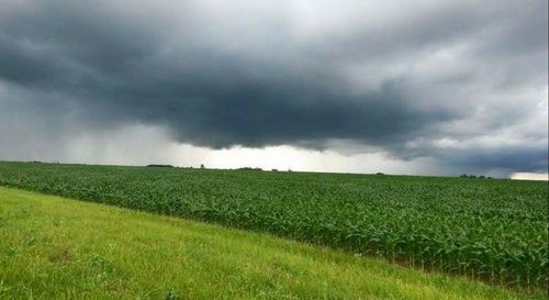 Scenic view of grassy field against cloudy sky