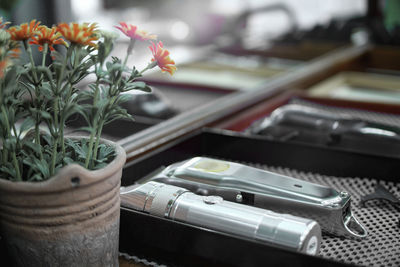 Close-up of potted plant on table