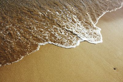 High angle view of surf on beach