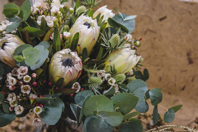 Close-up of flowering plants