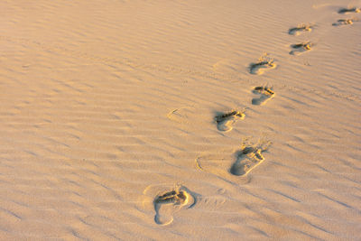 High angle view of footprints on sand