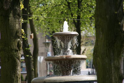 Close-up of fountain against trees