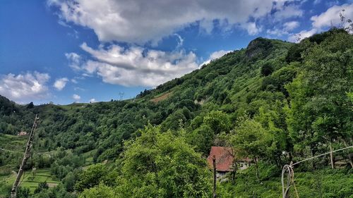 Low angle view of green mountain against sky