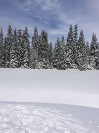 Scenic view of landscape against sky