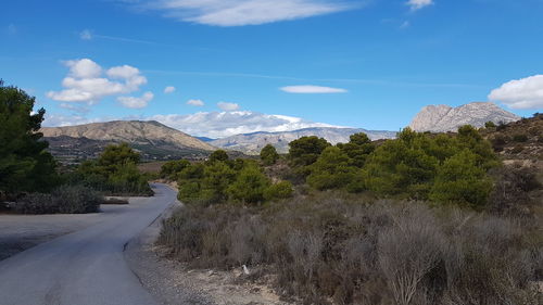 Road amidst plants and mountains against sky