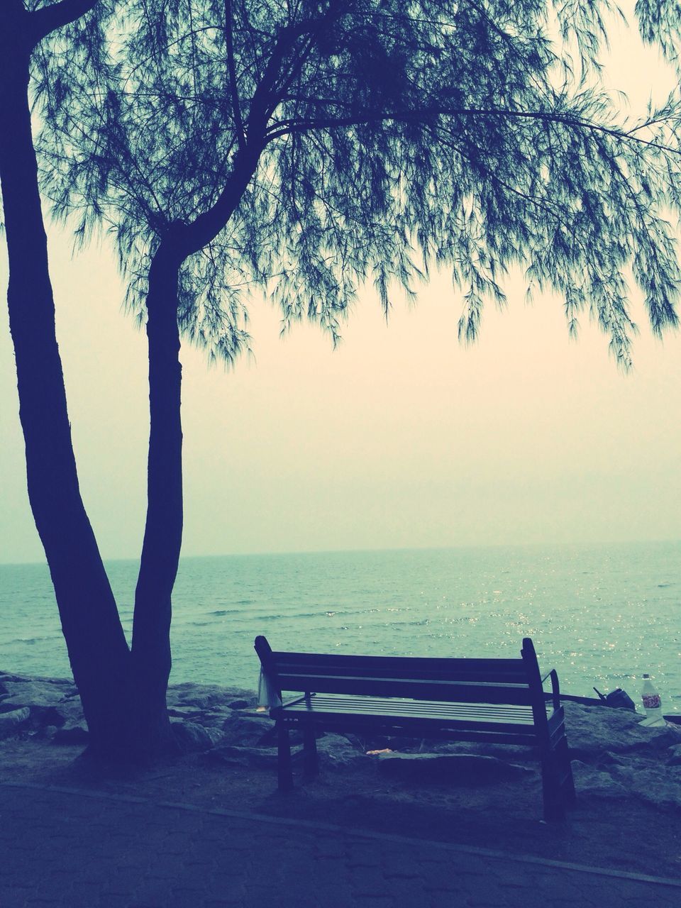 horizon over water, sea, tranquility, tranquil scene, water, scenics, beauty in nature, tree, nature, sunset, sky, bench, idyllic, branch, silhouette, tree trunk, beach, clear sky, shore, non-urban scene