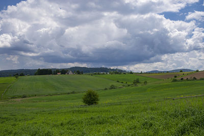 Scenic view of agricultural field against sky