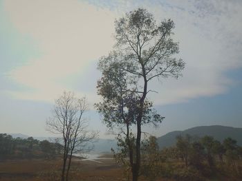 Bare trees on landscape against cloudy sky