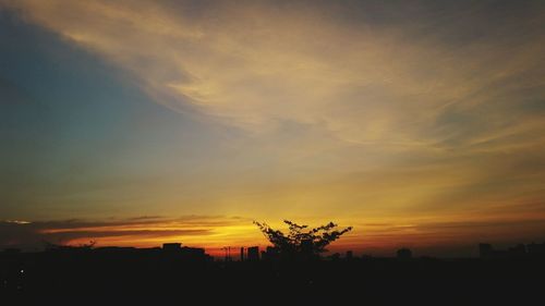 Silhouette trees against sky during sunset