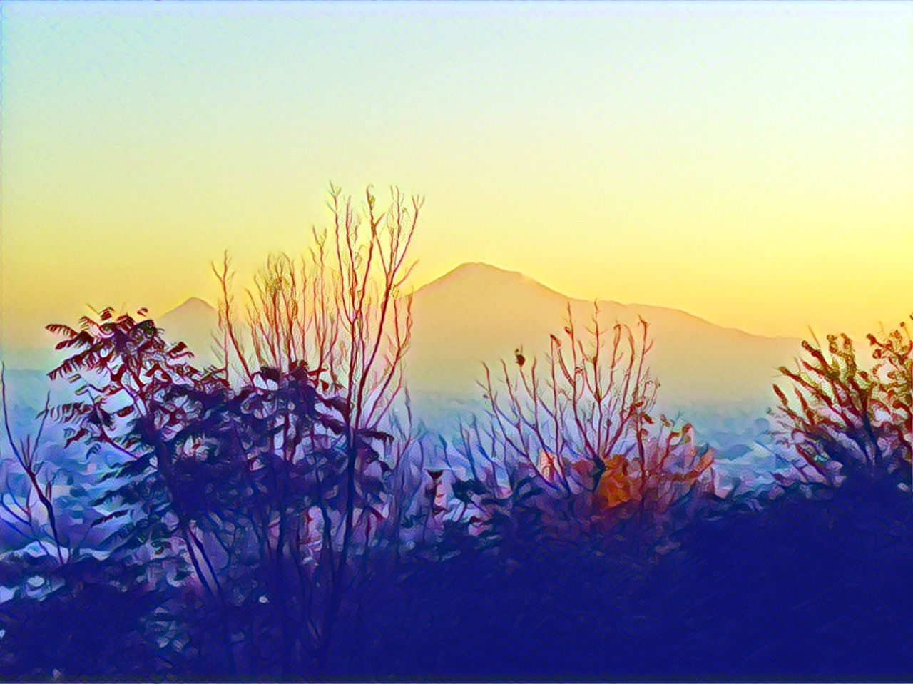 sky, plant, beauty in nature, sunset, no people, nature, tranquility, scenics - nature, copy space, growth, tranquil scene, orange color, clear sky, tree, outdoors, flowering plant, flower, mountain, water, dusk