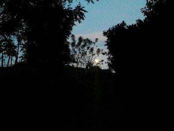 Silhouette of trees against sky at sunset