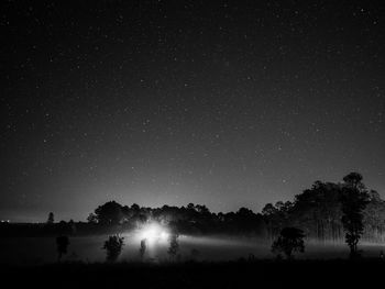 Trees on field against sky at night