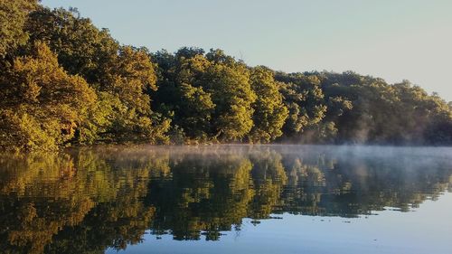 Reflection of trees in calm lake