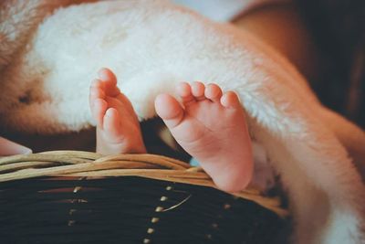 Low section of baby covered with soft blanket in wicker basket