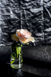 Close-up of rose in glass on table