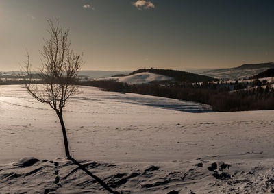 Scenic view of snow covered field against sky