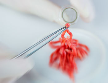 Close-up of laboratory equipment