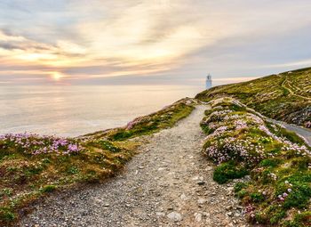 Footpath amidst flowering plants against sky during sunset