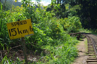 Information sign on railroad track amidst trees