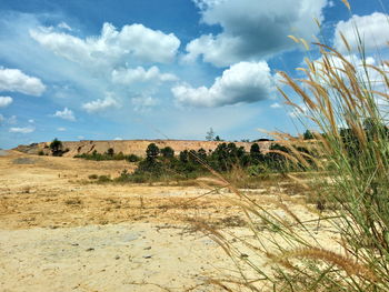 Scenic view of arid landscape against sky